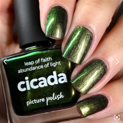 CICADA, Picture Polish