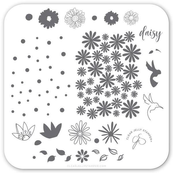 Daisy Do Daisy Dont (CjS-113) Stampingplade, Clear Jelly Stamper