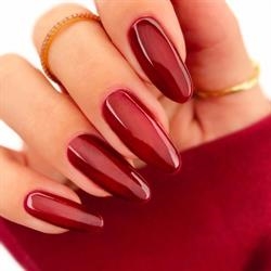 SPICED WINE, Picture Polish