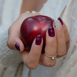 Dark Plum Gelpolish, Le Mini Macaron