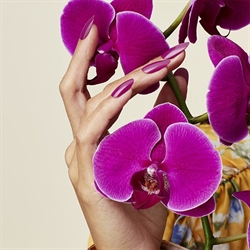 Orchid Canopy, In Fall Bloom, CND Vinylux