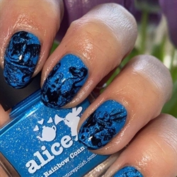 ALICE, Collaboration, Picture Polish