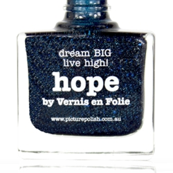 HOPE Collaboration Picture Polish