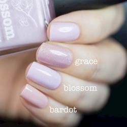 BLOSSOM Collaboration Picture Polish