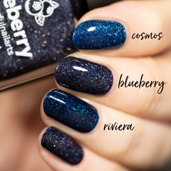 BLUEBERRY, Picture Polish