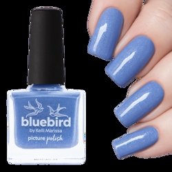 BLUEBIRD, Picture Polish