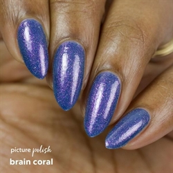 Brain Coral, Picture Polish (u)