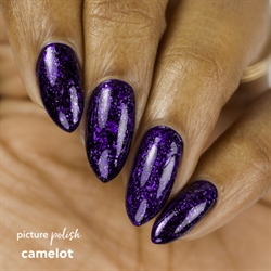 CAMELOT, Picture Polish