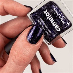 CAMELOT, Picture Polish