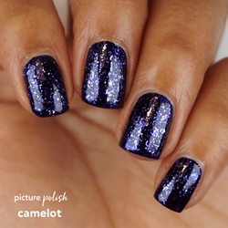 CAMELOT, Picture Polish