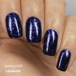 CAMELOT, Picture Polish