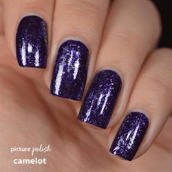 CAMELOT, Picture Polish