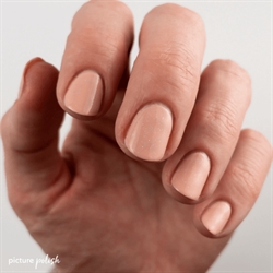 IMAGINE, Picture Polish (u)