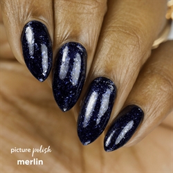 MERLIN, Picture Polish