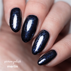 MERLIN, Picture Polish