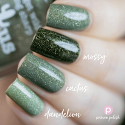 CACTUS, Collaboration, Picture Polish (u)