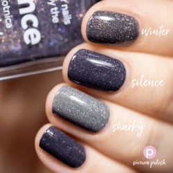 SILENCE, Picture Polish (u)