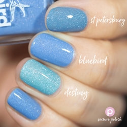 BLUEBIRD, Picture Polish