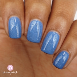 BLUEBIRD, Picture Polish