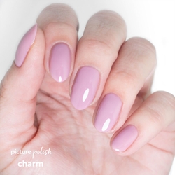 CHARM, Picture Polish