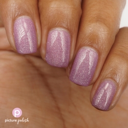 SUPPORT, Picture Polish (u)