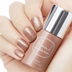 Spiced Chai 10 ml Gelpolish, Le Mini Macaron