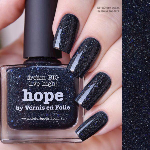 HOPE Collaboration Picture Polish