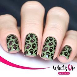 Acorns Stencils Whats Up Nails