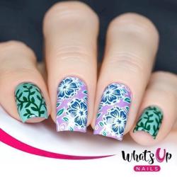 B018 Fields of Flowers Whats up nails