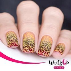 B021 Autumn Tales Whats up nails