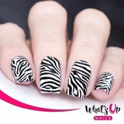 B025 Animalistic Nature Whats up Nails