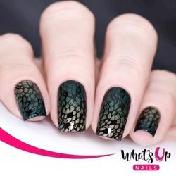 B025 Animalistic Nature Whats up Nails
