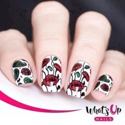 B026 Fashion Prints Whats up Nails