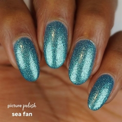 Sea Fan, Picture Polish (u)