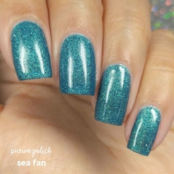 Sea Fan, Picture Polish