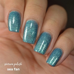 Sea Fan, Picture Polish (u)