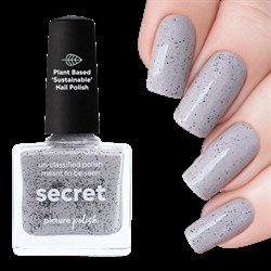 SECRET, Picture Polish (u)