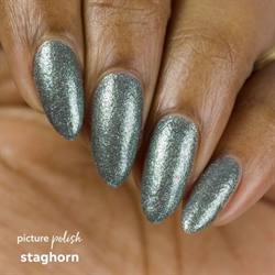 Staghorn, Picture Polish (u)