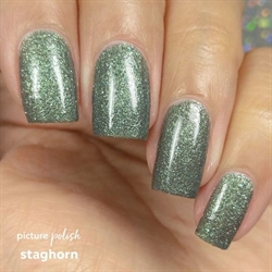 Staghorn, Picture Polish
