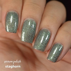 Staghorn, Picture Polish (u)