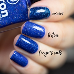 TRITON, Picture Polish