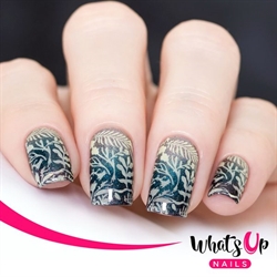 B045 Sprung On Spring, stampingplade, Whats up Nails