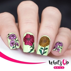B046 Petal to the Metal, stampingplade, Whats up Nails