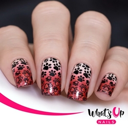 B047 Everyday is Caturday, stampingplade, Whats up Nails