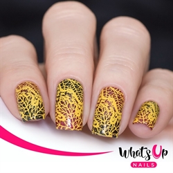 B053 That\'s Pretty Autumn!, stampingplade, Whats up Nails