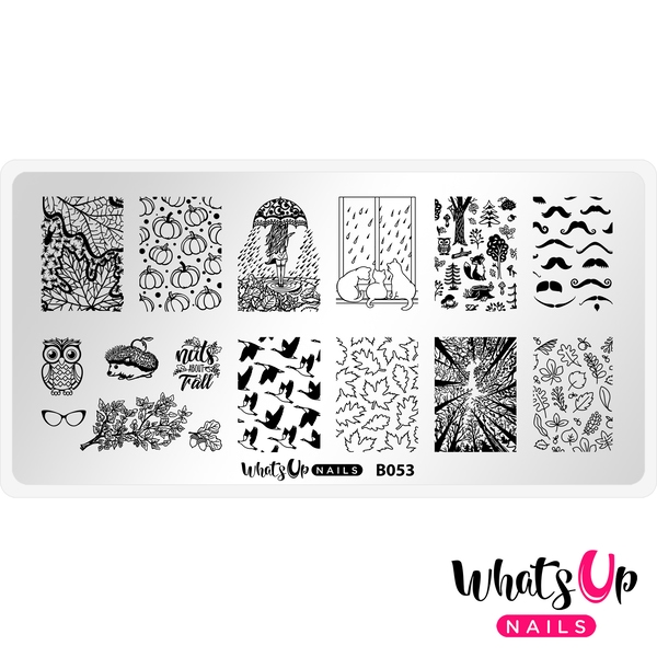 B053 That\'s Pretty Autumn!, stampingplade, Whats up Nails