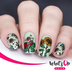 B061 Summer in the Countryside, stampingplade, Whats up Nails
