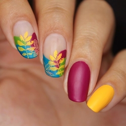 B071 The Whole Nine Gourds, stampingplade, Whats up Nails