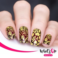 B071 The Whole Nine Gourds, stampingplade, Whats up Nails
