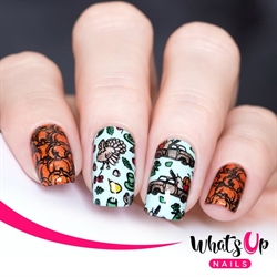 B071 The Whole Nine Gourds, stampingplade, Whats up Nails